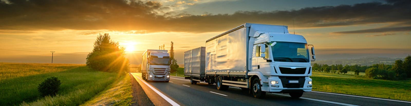 WhatsApp Image 2023-11-22 at 1.30.27 PM (1)